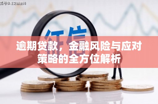 潍城逾期贷款，金融风险与应对策略的全方位解析