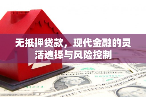 潍城无抵押贷款，现代金融的灵活选择与风险控制
