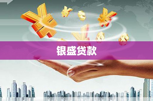 潍城银盛贷款