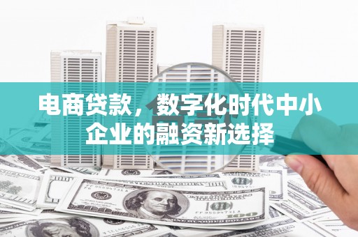 潍城电商贷款，数字化时代中小企业的融资新选择
