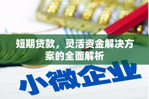 潍城短期贷款，灵活资金解决方案的全面解析