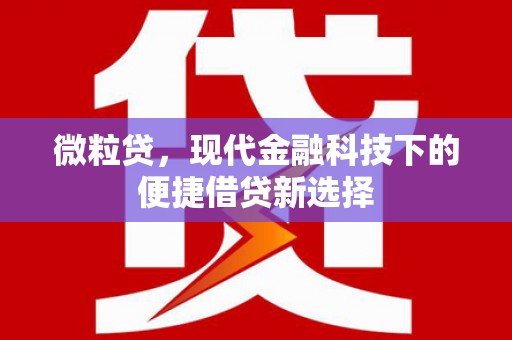 潍城微粒贷，现代金融科技下的便捷借贷新选择