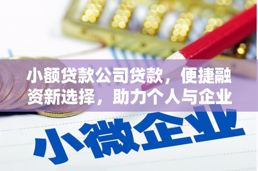 潍城小额贷款公司贷款，便捷融资新选择，助力个人与企业成长