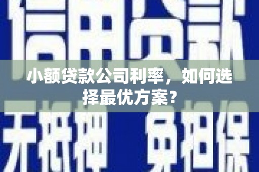 潍城小额贷款公司利率，如何选择最优方案？