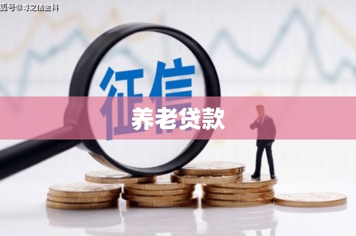 潍城养老贷款