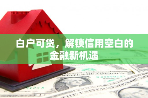 潍城白户可贷，解锁信用空白的金融新机遇
