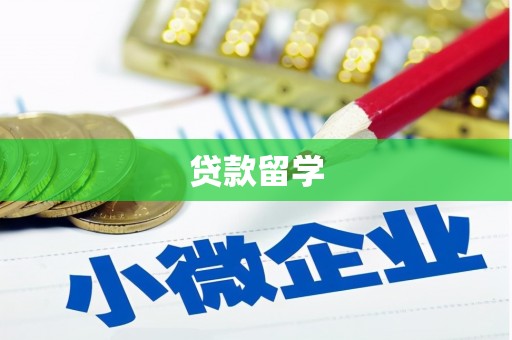 潍城贷款留学