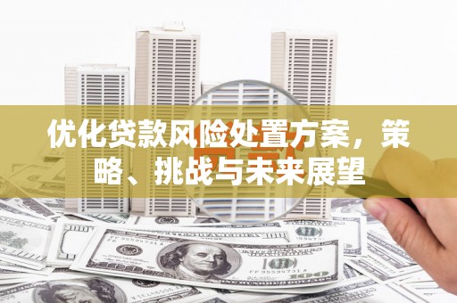 潍城优化贷款风险处置方案，策略、挑战与未来展望