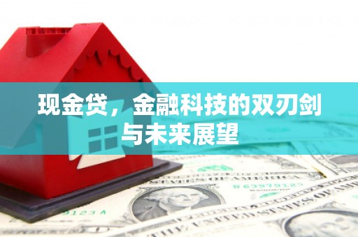 潍城现金贷，金融科技的双刃剑与未来展望