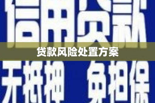 潍城贷款风险处置方案