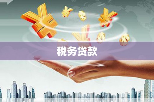 潍城税务贷款