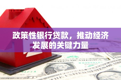 潍城政策性银行贷款，推动经济发展的关键力量
