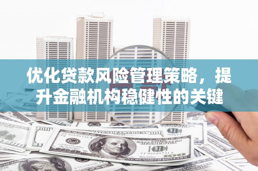 潍城优化贷款风险管理策略，提升金融机构稳健性的关键