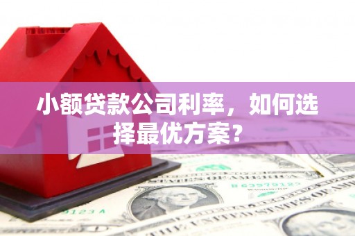 潍城小额贷款公司利率，如何选择最优方案？