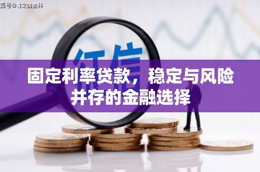 潍城固定利率贷款，稳定与风险并存的金融选择