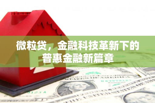 潍城微粒贷，金融科技革新下的普惠金融新篇章