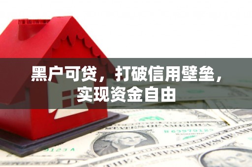 潍城黑户可贷，打破信用壁垒，实现资金自由