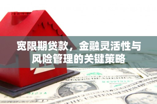 潍城宽限期贷款，金融灵活性与风险管理的关键策略