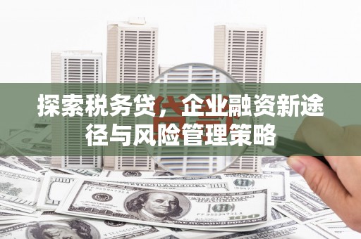 潍城探索税务贷，企业融资新途径与风险管理策略