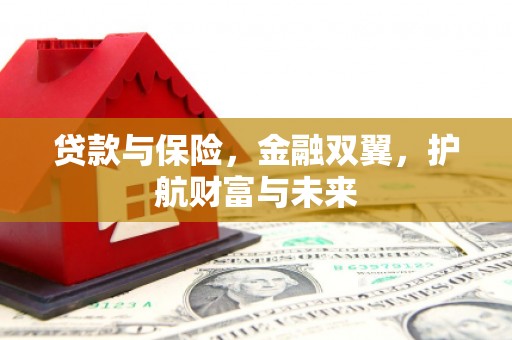潍城贷款与保险，金融双翼，护航财富与未来