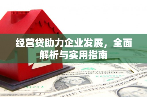 潍城经营贷助力企业发展，全面解析与实用指南