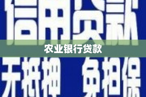 潍城农业银行贷款