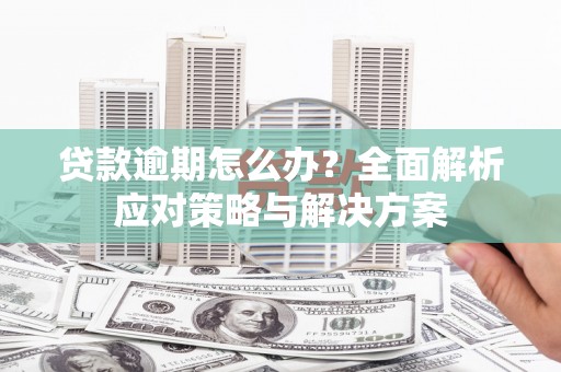 潍城贷款逾期怎么办？全面解析应对策略与解决方案
