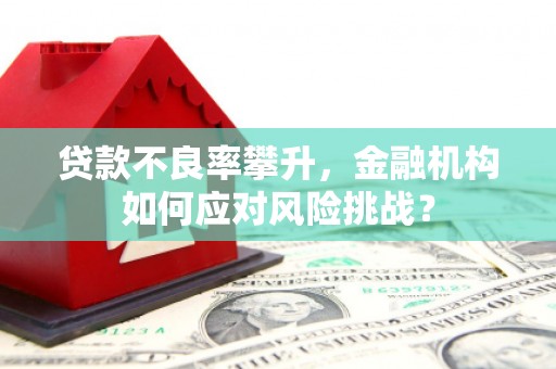 潍城贷款不良率攀升，金融机构如何应对风险挑战？