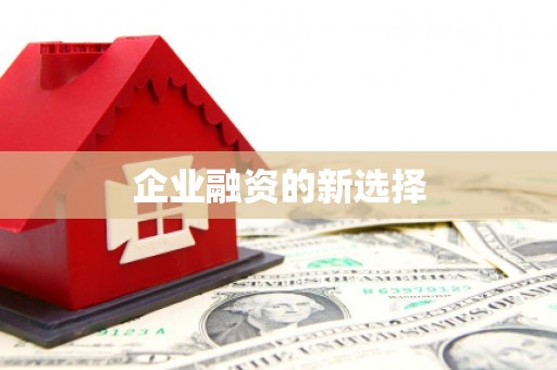 潍城企业融资的新选择