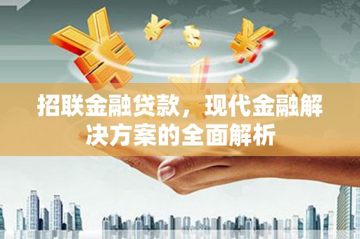 潍城招联金融贷款，现代金融解决方案的全面解析