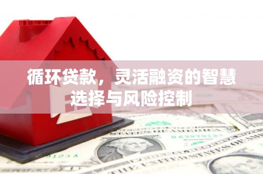 潍城循环贷款，灵活融资的智慧选择与风险控制