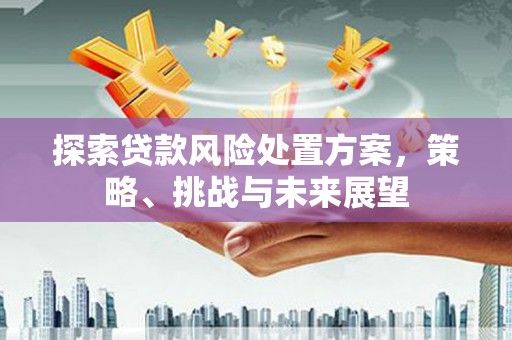 潍城探索贷款风险处置方案，策略、挑战与未来展望