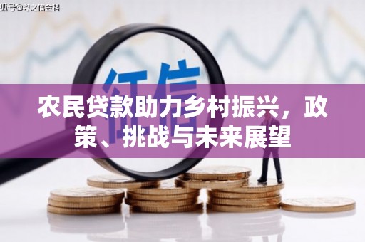 潍城农民贷款助力乡村振兴，政策、挑战与未来展望