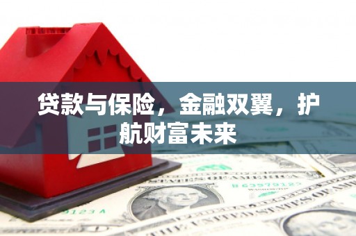 潍城贷款与保险，金融双翼，护航财富未来