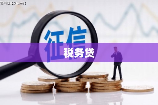 潍城税务贷