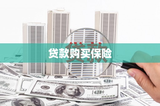 潍城贷款购买保险