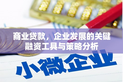 潍城商业贷款，企业发展的关键融资工具与策略分析