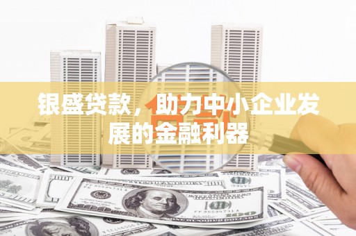 潍城银盛贷款，助力中小企业发展的金融利器