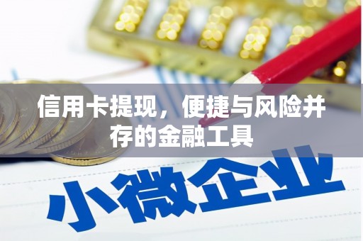 潍城信用卡提现，便捷与风险并存的金融工具