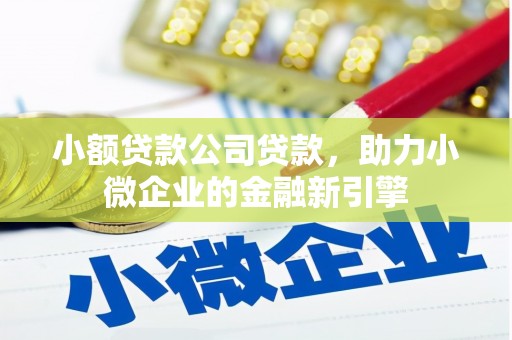 潍城小额贷款公司贷款，助力小微企业的金融新引擎
