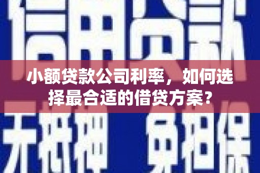潍城小额贷款公司利率，如何选择最合适的借贷方案？