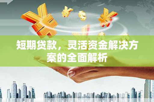 潍城短期贷款，灵活资金解决方案的全面解析