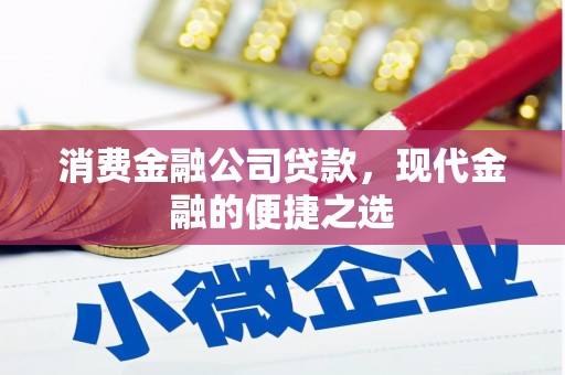 潍城消费金融公司贷款，现代金融的便捷之选