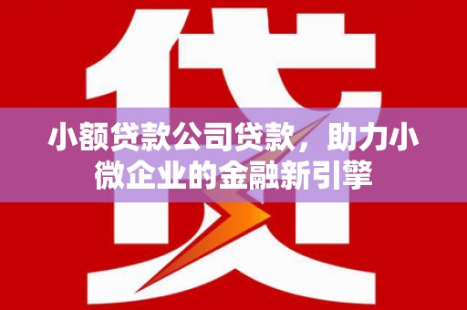 潍城小额贷款公司贷款，助力小微企业的金融新引擎