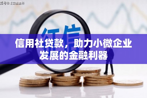 潍城信用社贷款，助力小微企业发展的金融利器