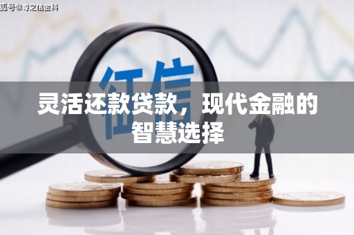 潍城灵活还款贷款，现代金融的智慧选择