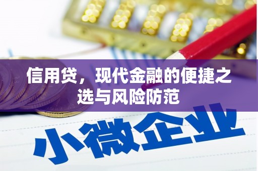 潍城信用贷，现代金融的便捷之选与风险防范