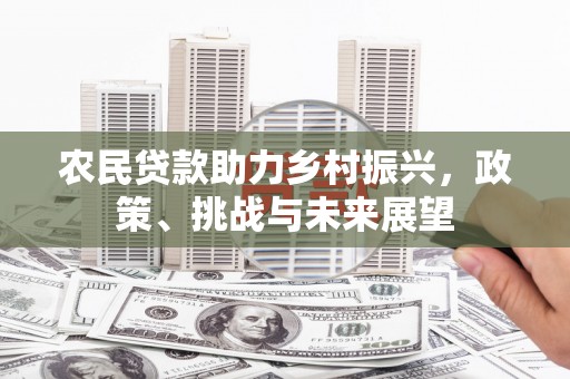 潍城农民贷款助力乡村振兴，政策、挑战与未来展望