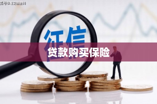 潍城贷款购买保险