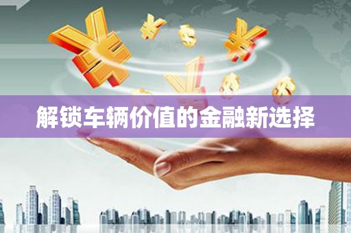 潍城解锁车辆价值的金融新选择